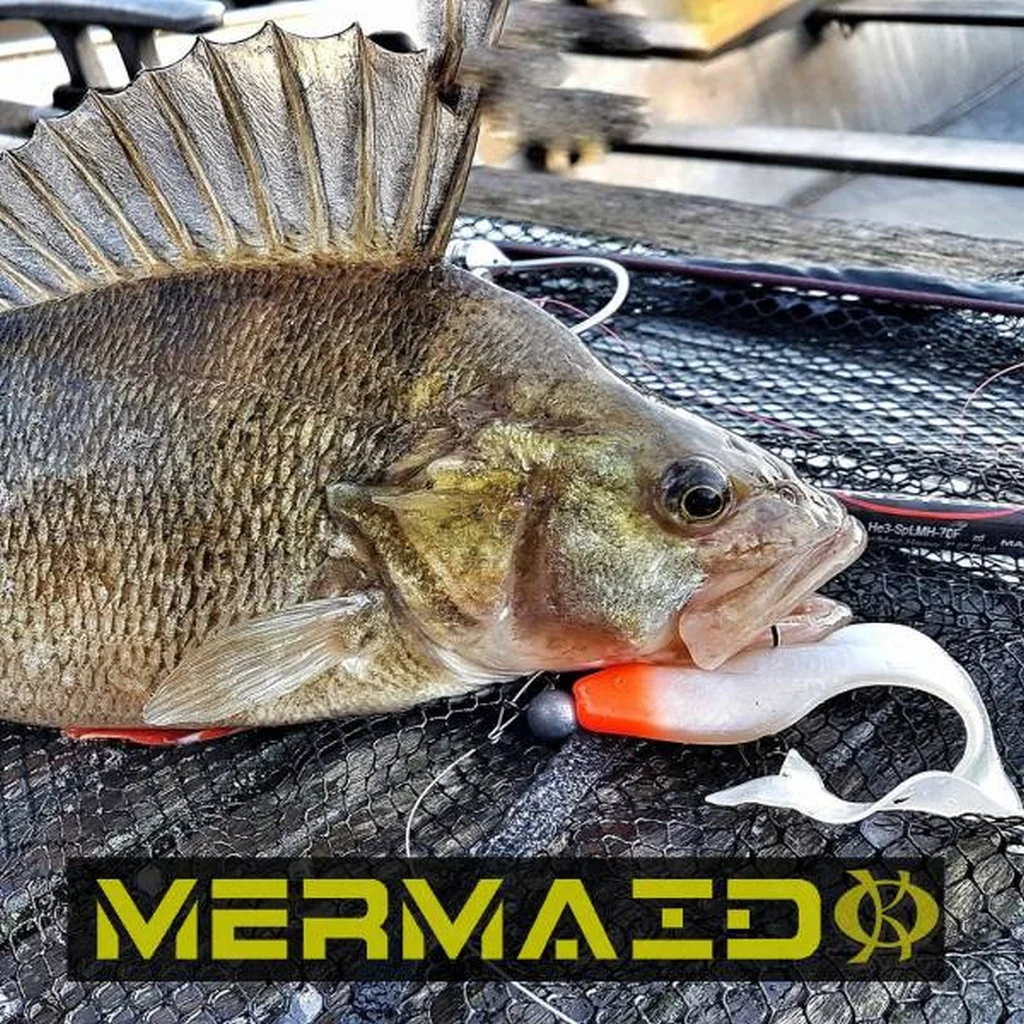 Meisterbiss Mermaid