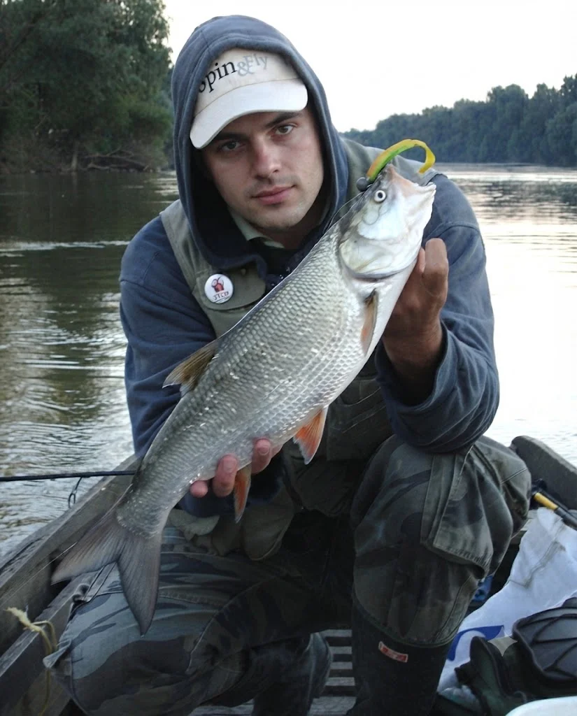 Soft lures for Rappfen (Leuciscus aspius)
