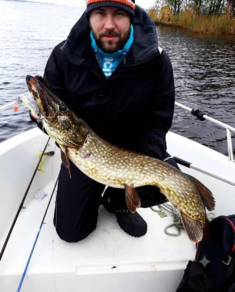 Soft lures for Hecht (Esox lucius)
