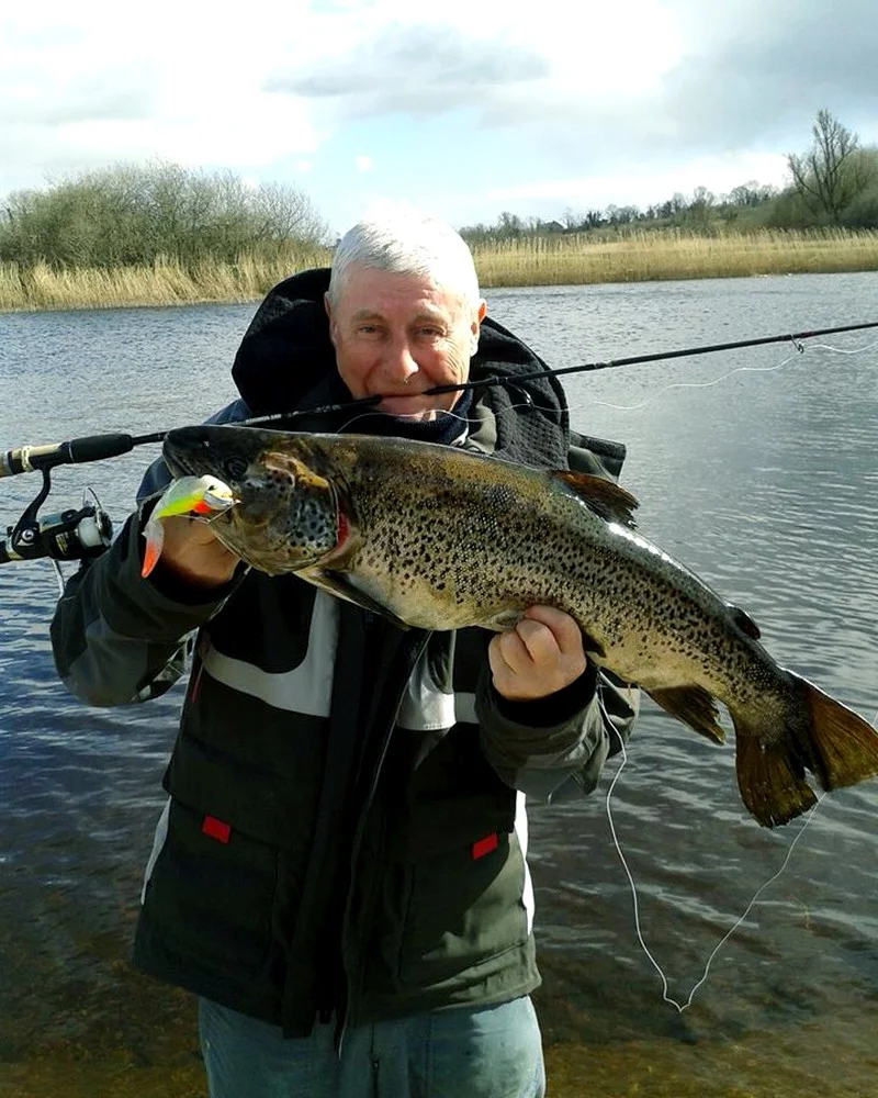Soft lures for Forelle (Salmo trutta)