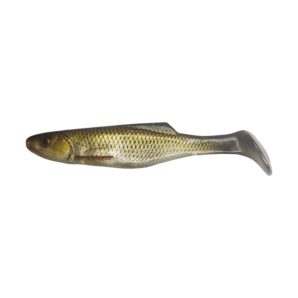 Golden Roach
