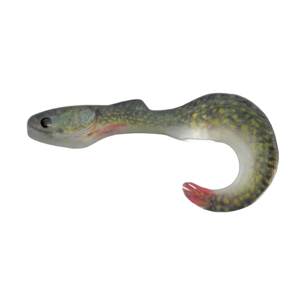 Olive Red Tail