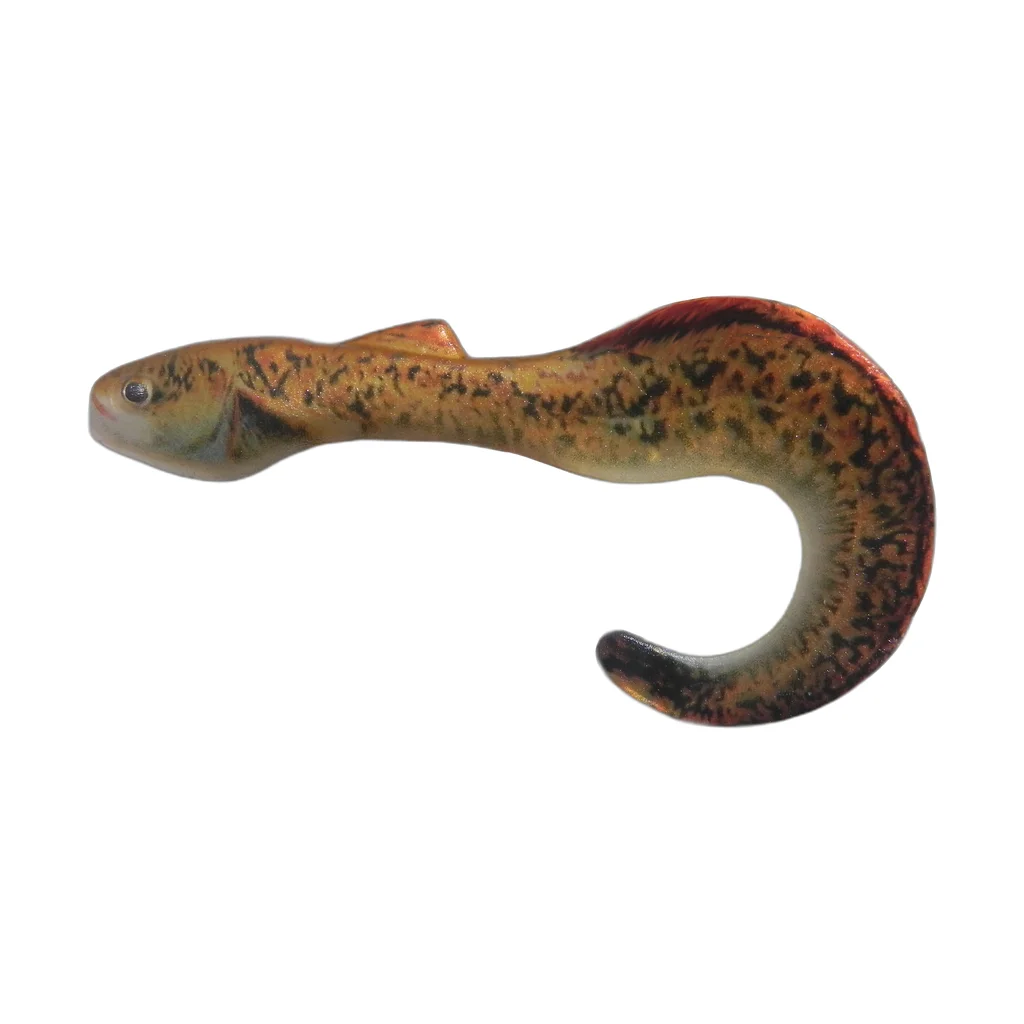 Copper Perch
