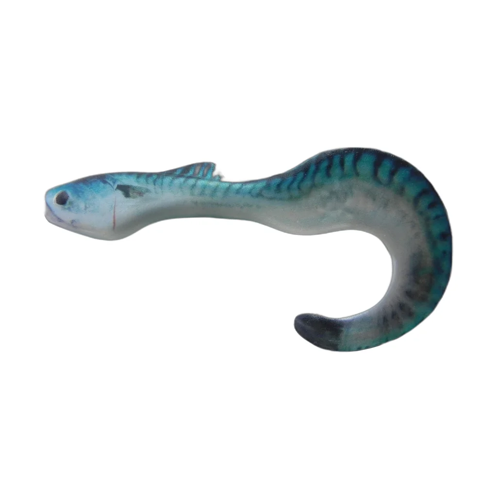 Blueback Shad