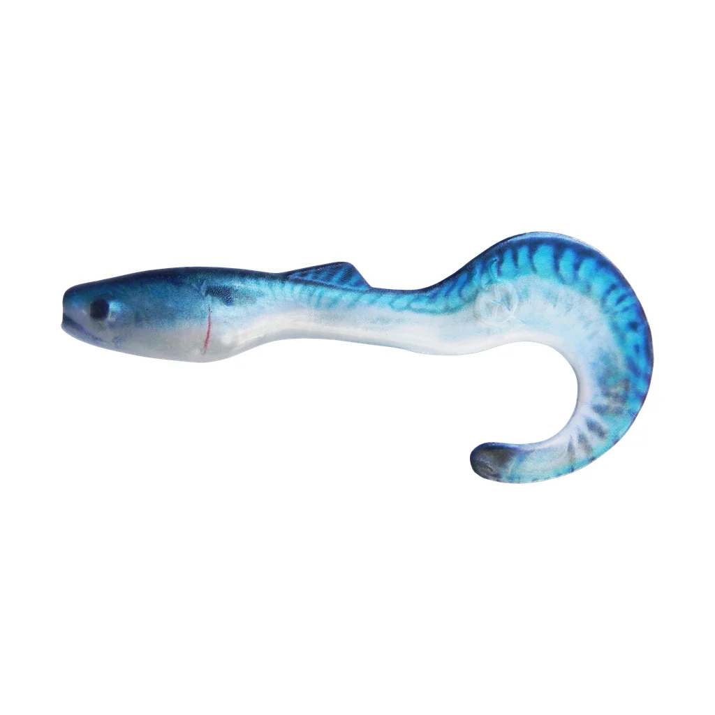 Blueback Shad