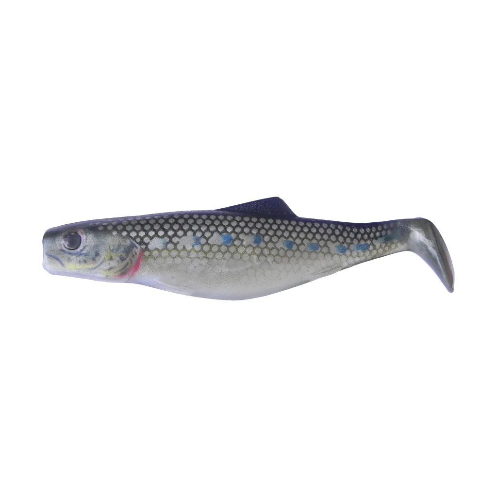 Silver Minnow
