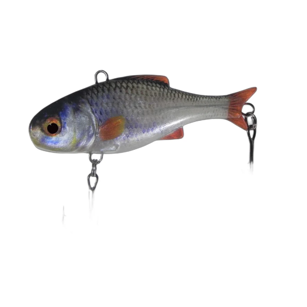Silver Red Tail